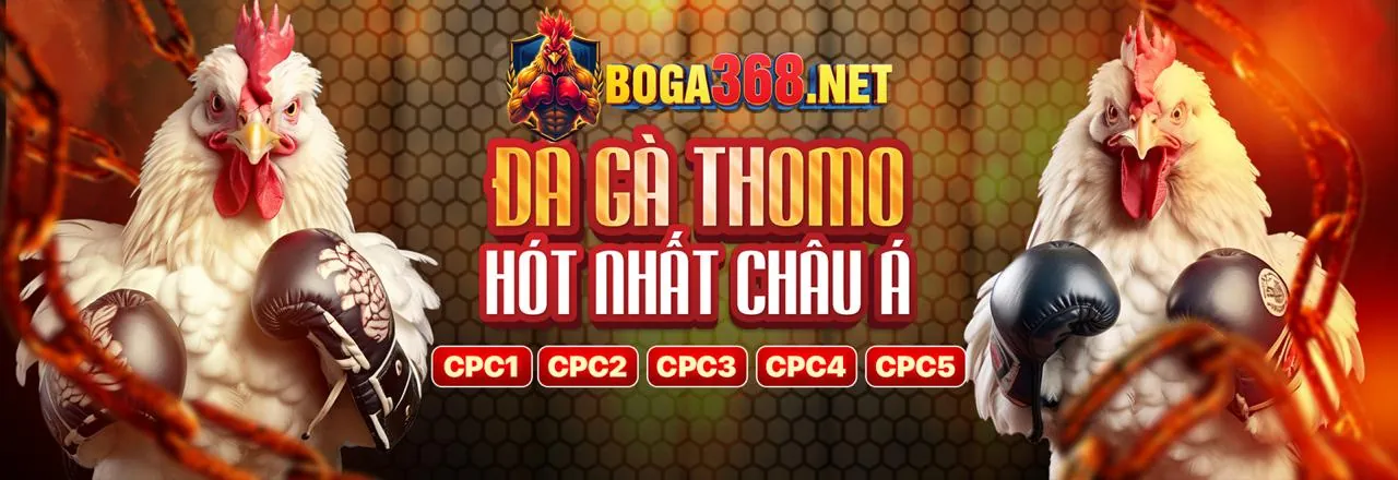 Đá Gà Trực Tuyến Kịch Tính tại 888to29