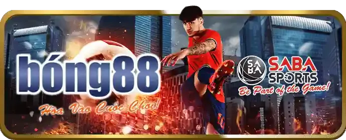 Đặt cược và xác nhận